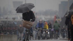 Legs of Amsterdam still 05 uai Wytse Koetse